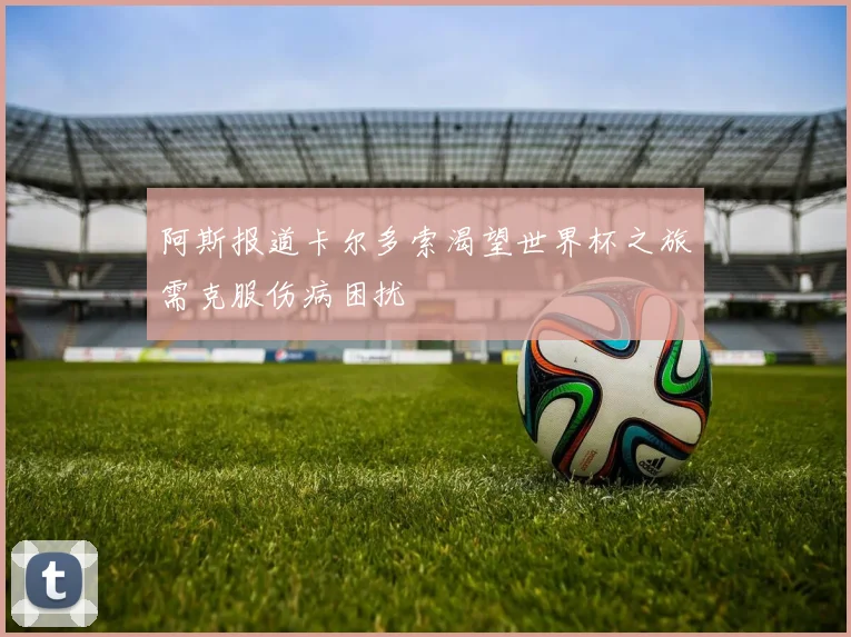 阿斯报道卡尔多索渴望世界杯之旅需克服伤病困扰