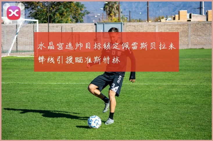 水晶宫选帅目标锁定佩雷斯贝拉米锋线引援瞄准斯特林