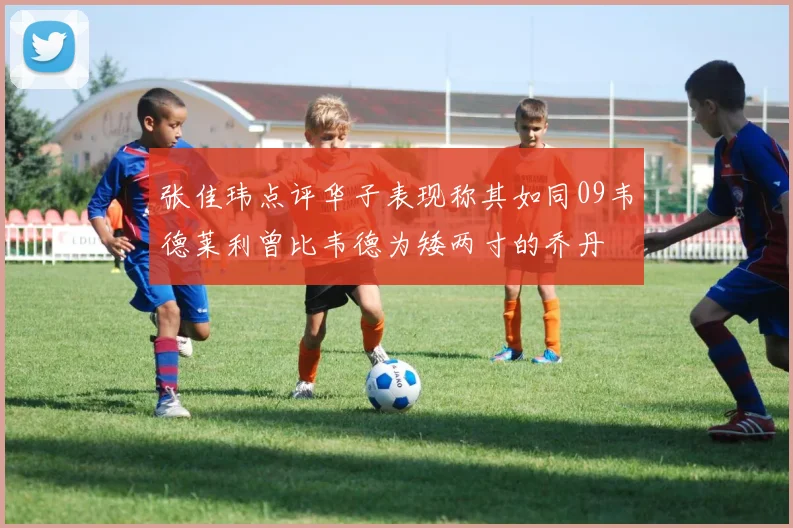 张佳玮点评华子表现称其如同09韦德莱利曾比韦德为矮两寸的乔丹